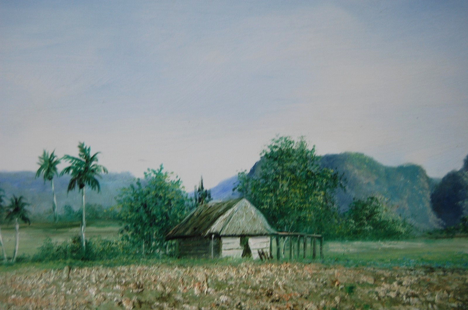 ORIGINAL SIGNED FRAMED OIL ROYAL PALMS, BOHIO AND MOGOTES VINALES LANDSCAPE CUBA
