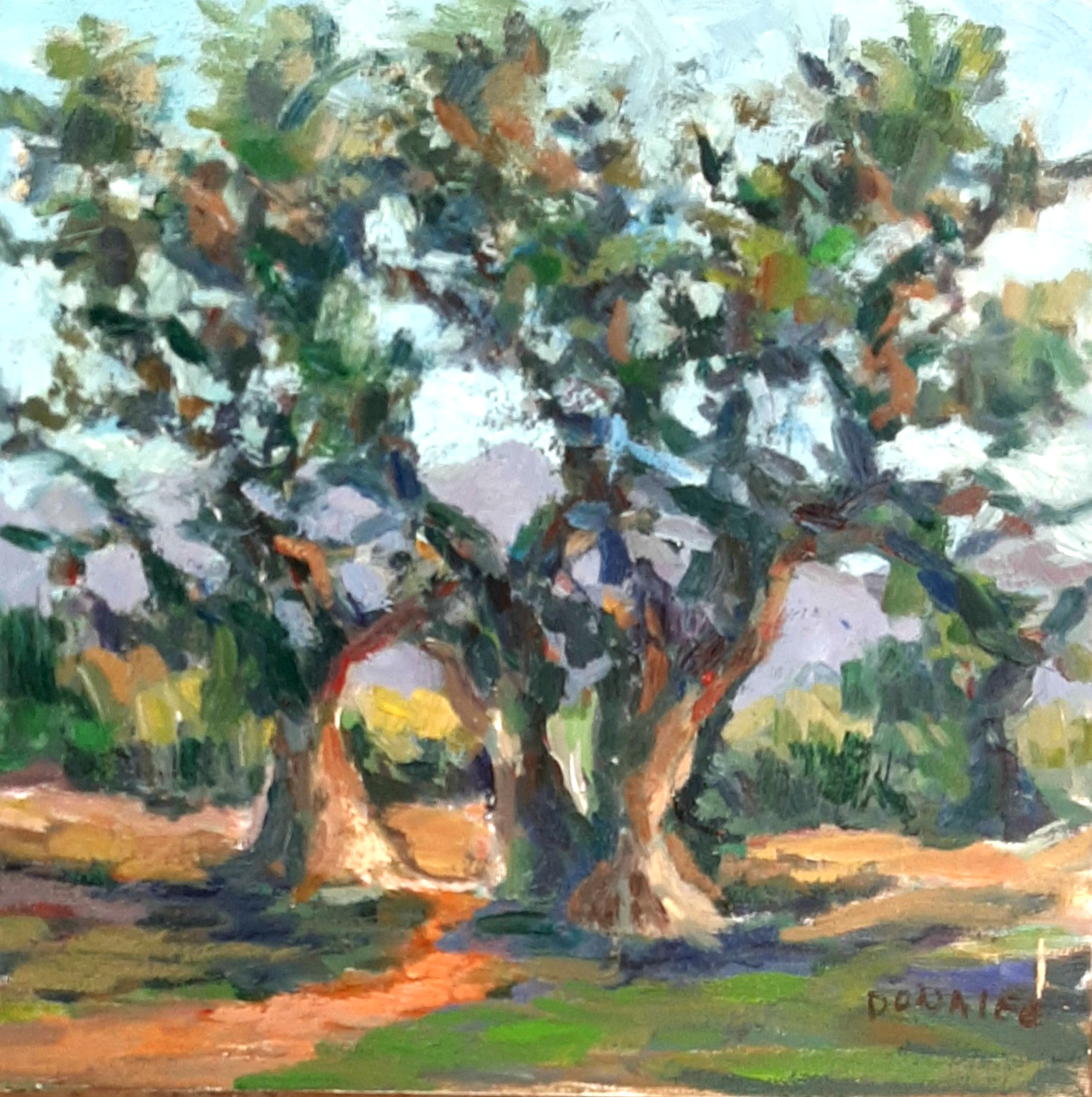 Oil Painting Landscape PLEIN AIR Old Trees Mountains Original Framed by Donalee