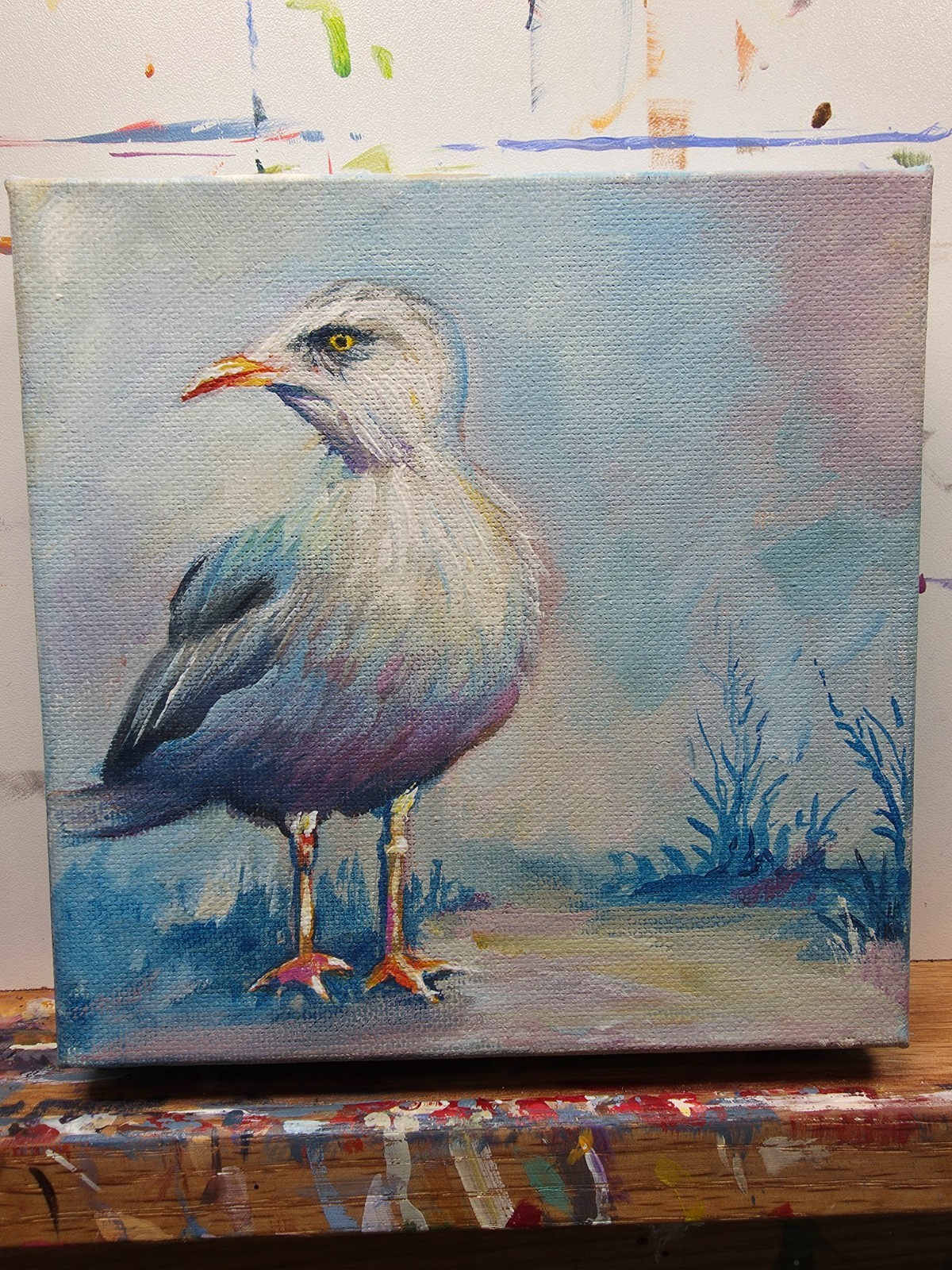 Original oil painting 6 in x 6in of a seagull, on 1 1/2 in gallery canvas
