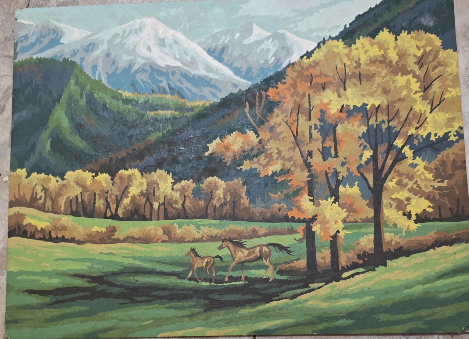 Vintage Mid-1900s Mountains Horses completed paint-by-numbers 16″x12″ Unframed