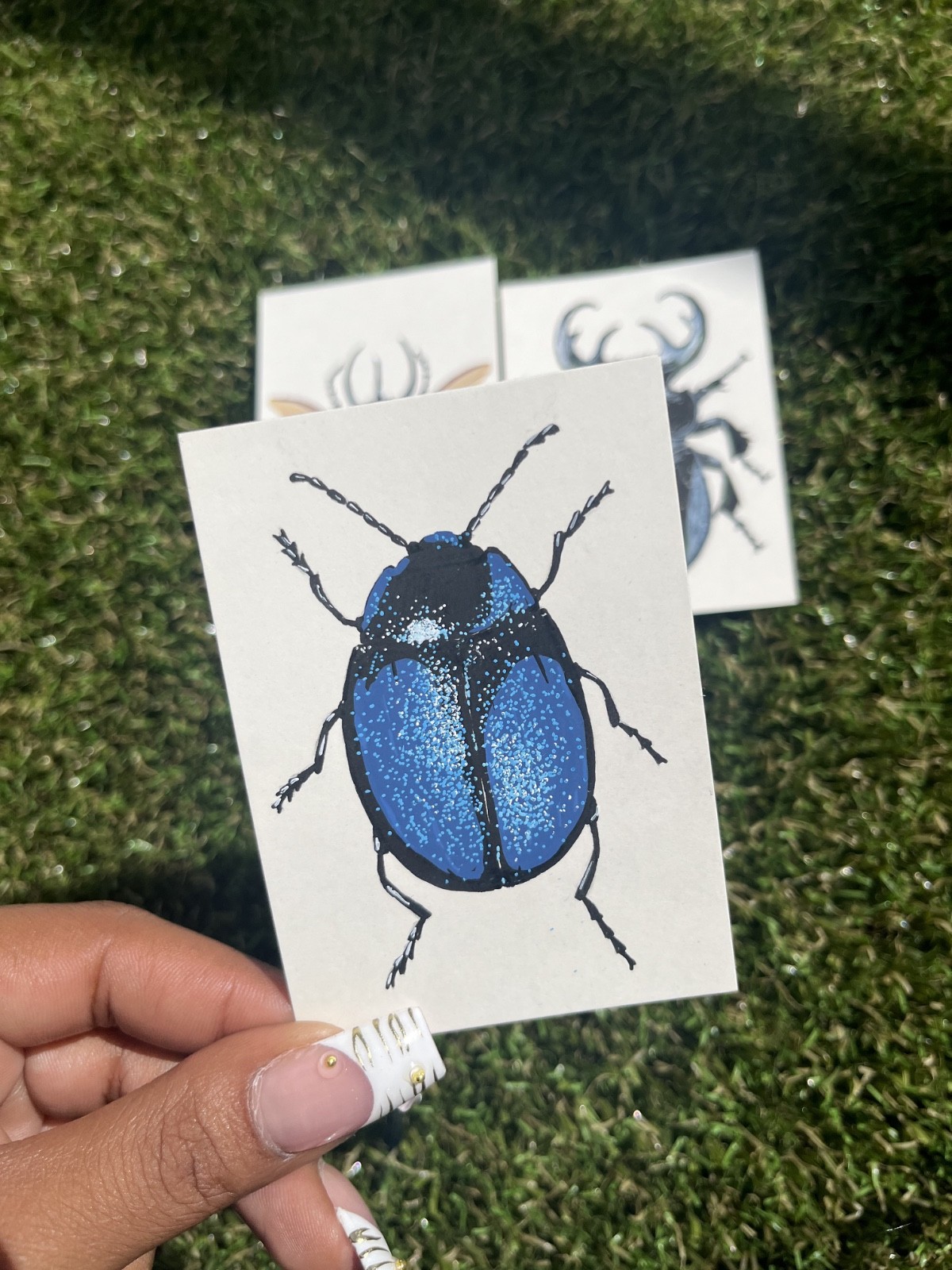 ACEO Art Card Original Beetle Insect “Specimen #03” 2.5×3.5 in (3/3)