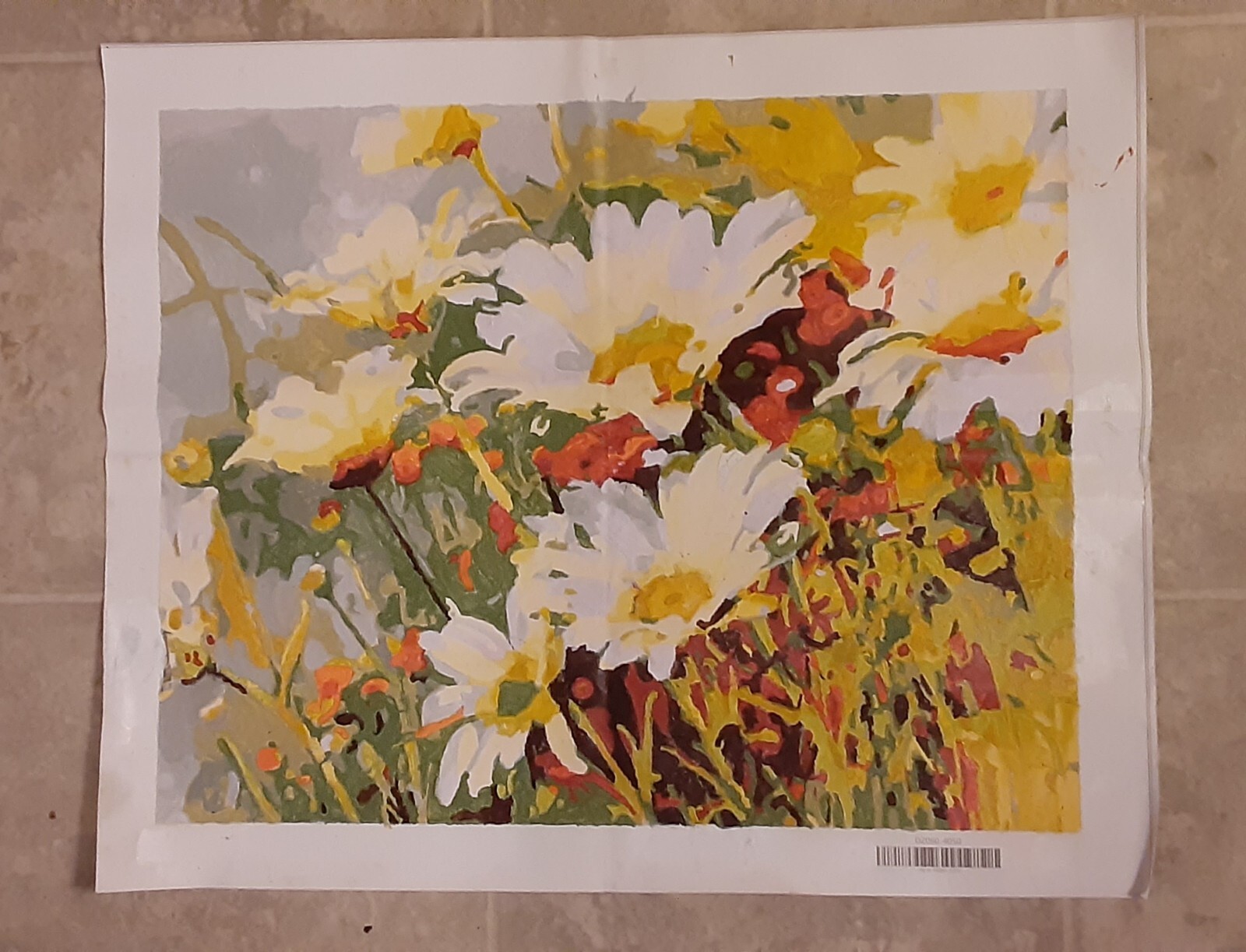 Hand Painted By Number Oil Painting on Canvas Completed 16 x 20 Flowers
