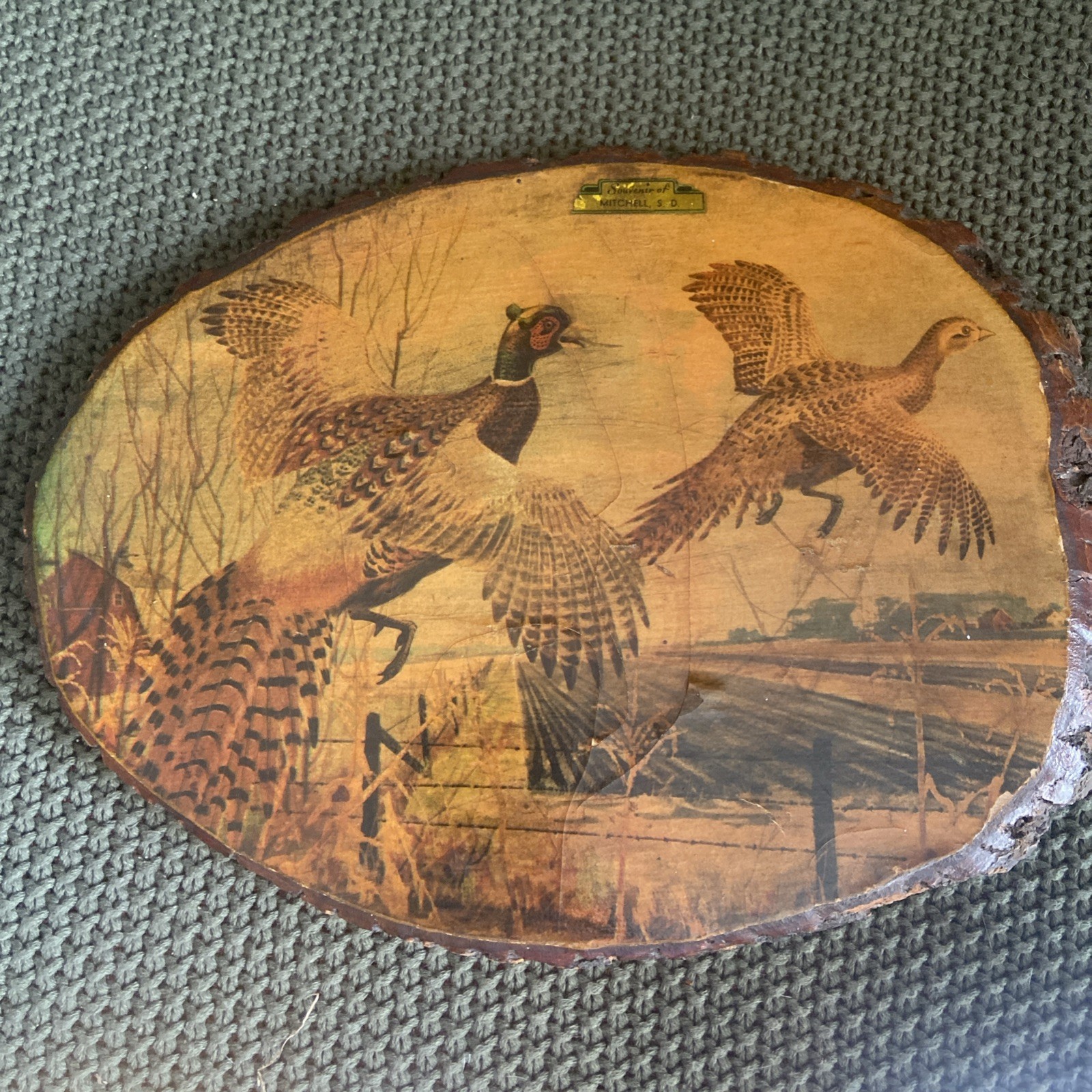 Vintage Pheasant Painting On Wood Piece From Mitchell SD Historic Mancave