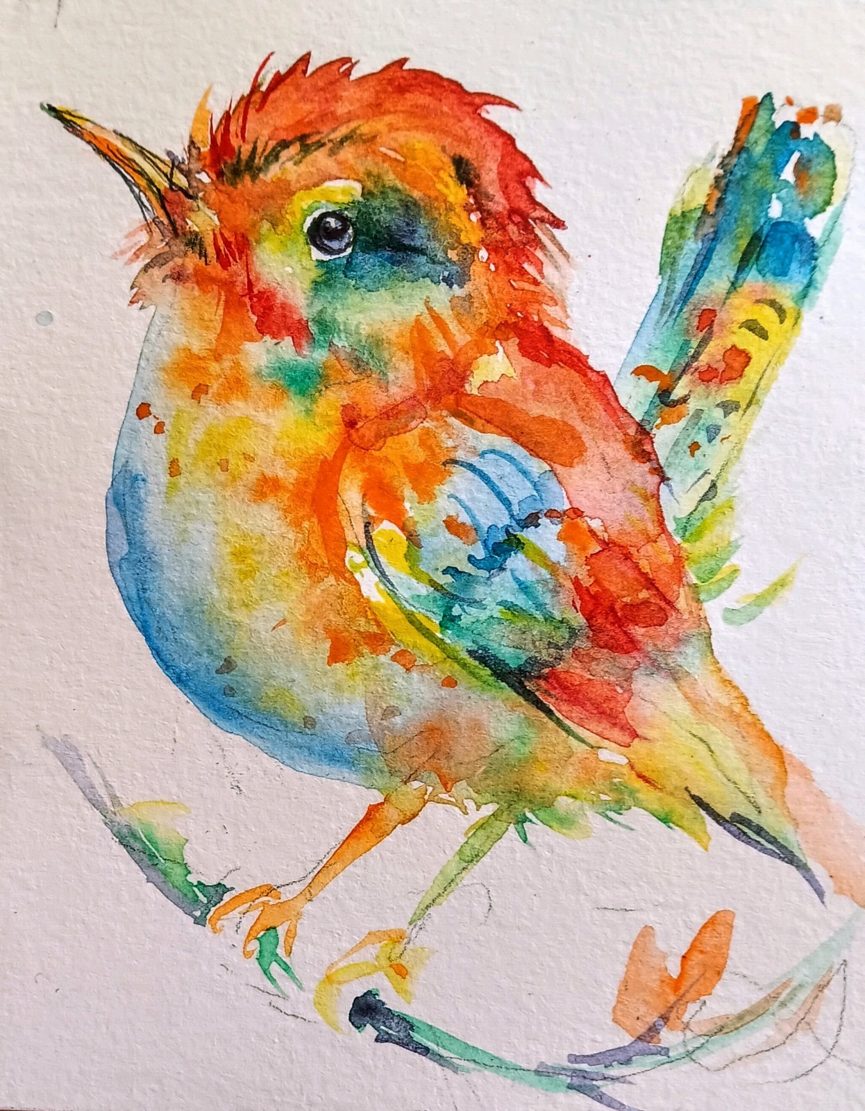 Colorfu Bird art Original watercolor painting Signed,nature lover Best gift