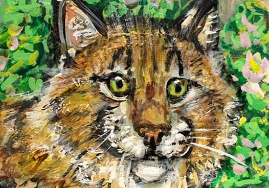 ORIGINAL ACEO Painting BOBCAT Big CAT Spring Animal Flower Landscape Nature ART