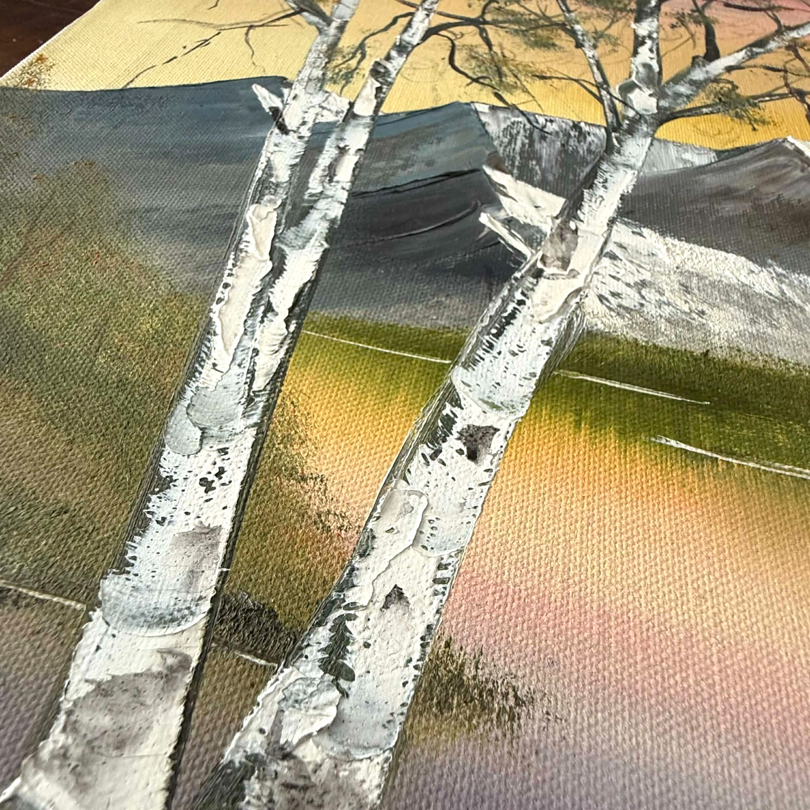 Original Oil Painting Canvas Mountain Landscape Lake Scene Signed 16×20 Framed