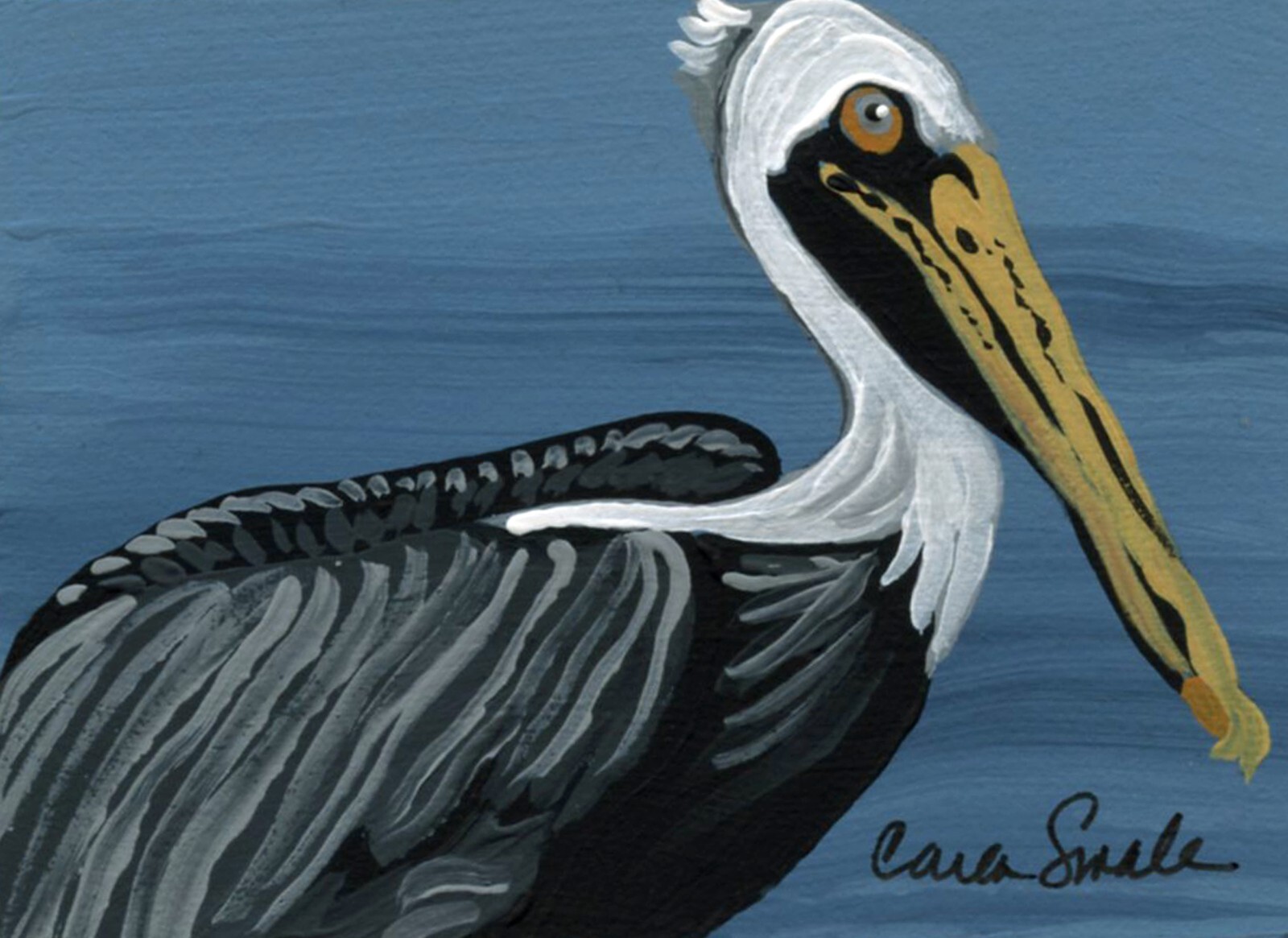 ACEO ATC Original Painting Pelican Bird Wildlife Art -Carla Smale