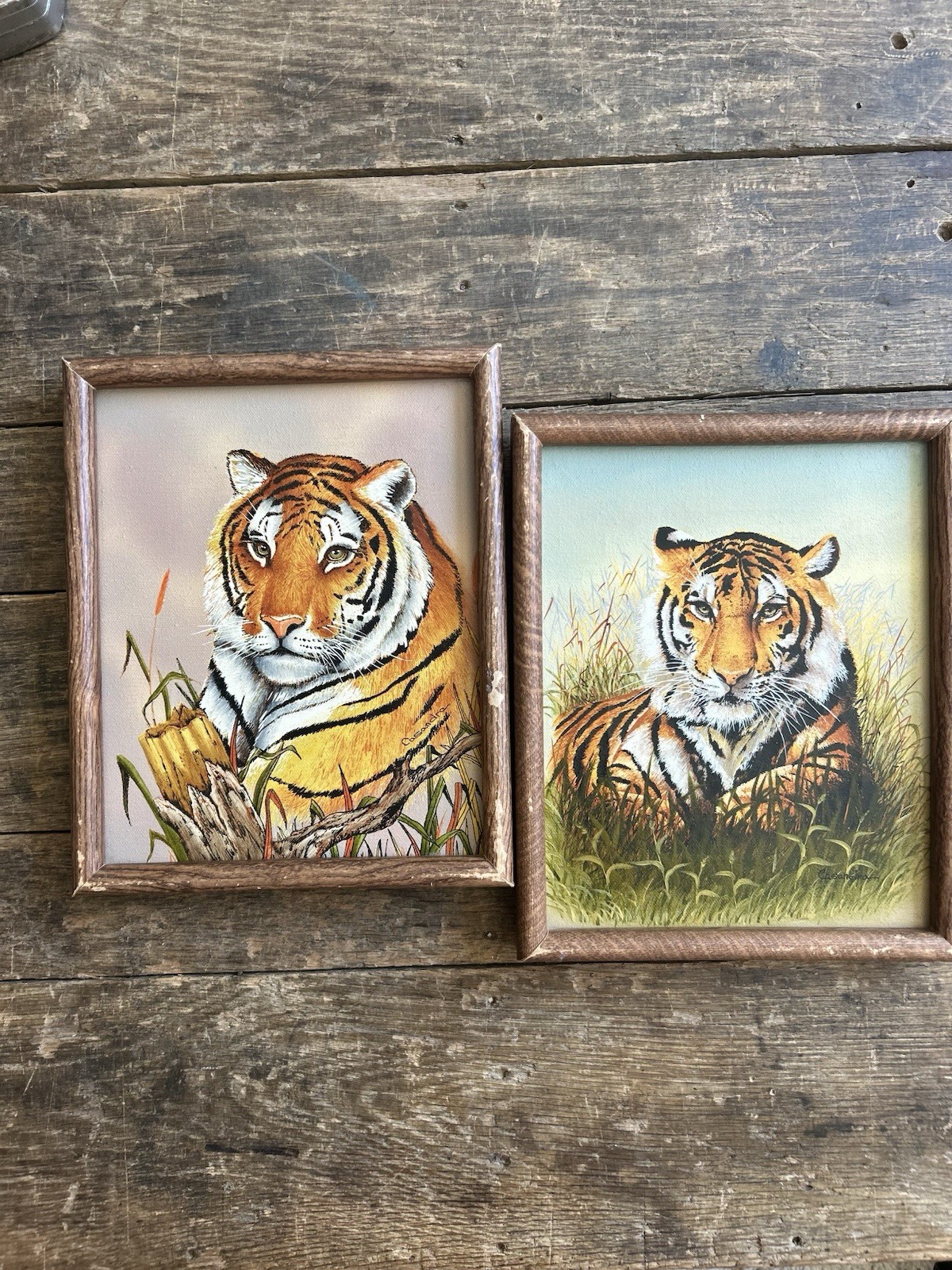 Pair Of Vintage Tiger Paintings By Casandra 8 X 10“