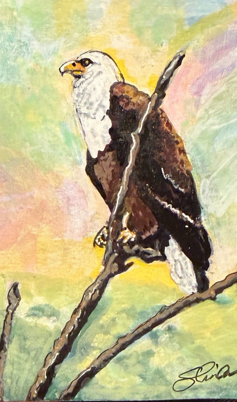 ACEO “Sunset Eagle” Acrylic Painting By Sheila Lofgreen