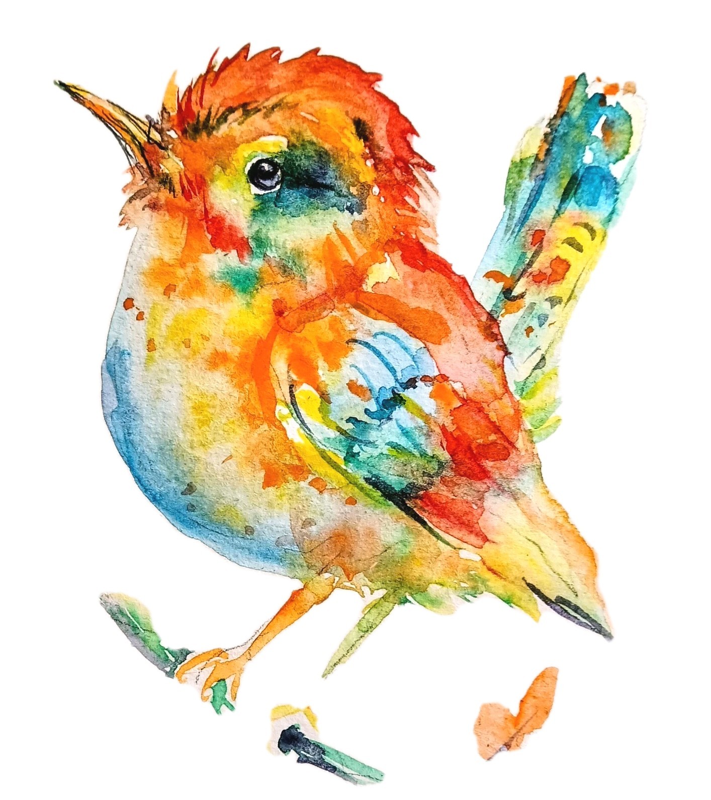 Colorfu Bird art Original watercolor painting Signed,nature lover Best gift