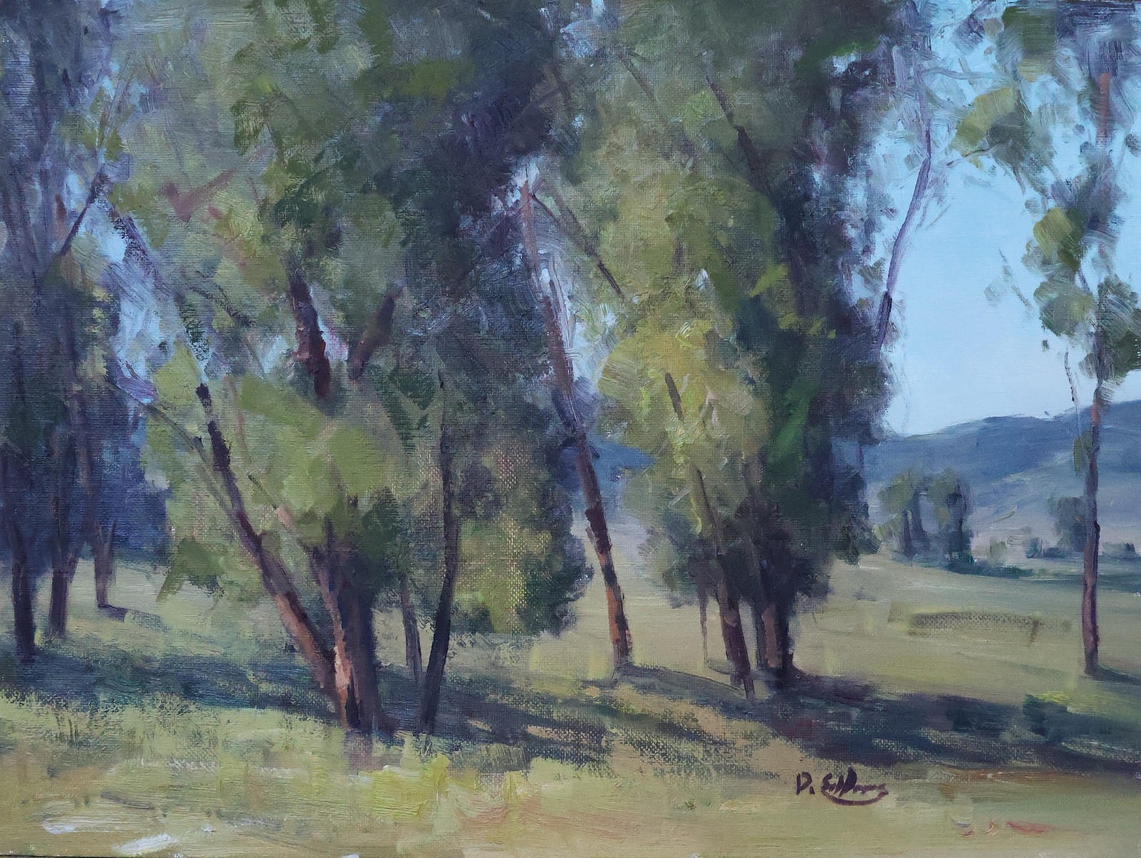 Original Oil Painting “Cottonwood Grove” 12×16 on Canvas Panel