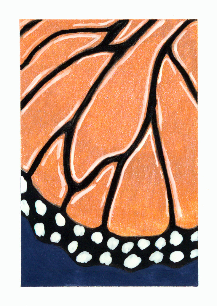 ACEO Original Butterfly Insect Macro Bugs Mini Painting Small Art OneCraftyLady
