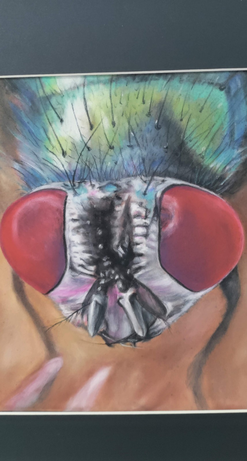 Original Colorful Fly 14 x 11 Pastel Paper Matted Art
