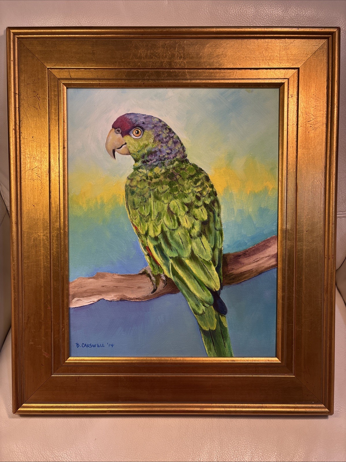 Framed Paint On Canvas Art Of A Parrot Signed By Artist. B. Carswell 16”-19”