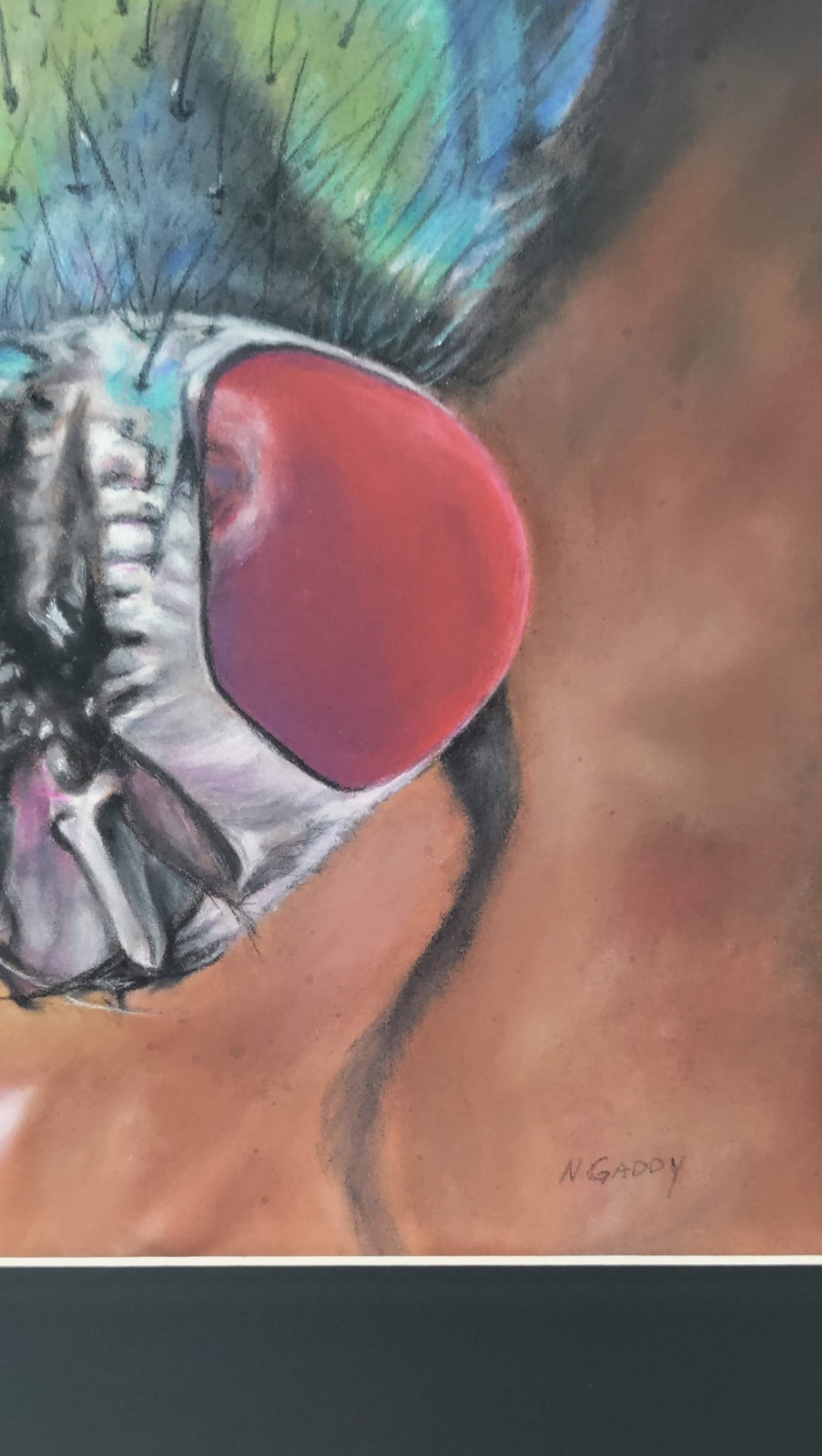 Original Colorful Fly 14 x 11 Pastel Paper Matted Art