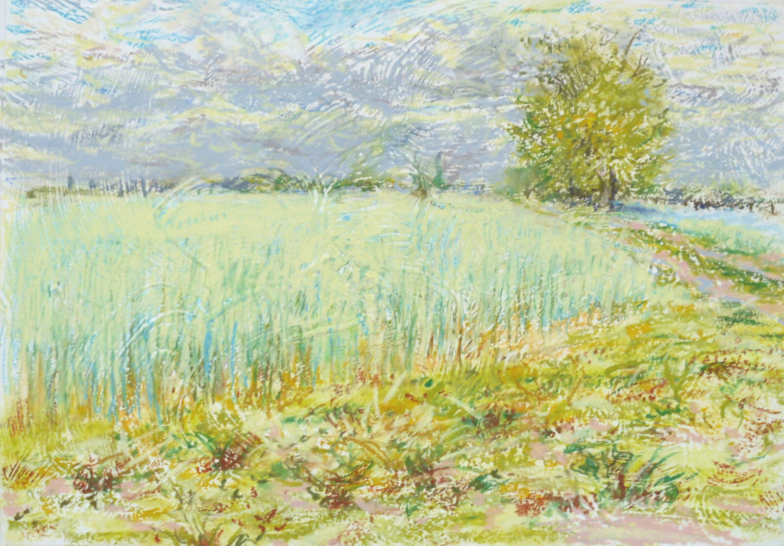 GERRY MILLER Oil Pastel. A Field, Selchow. Gerry Miller. 25x35cm
