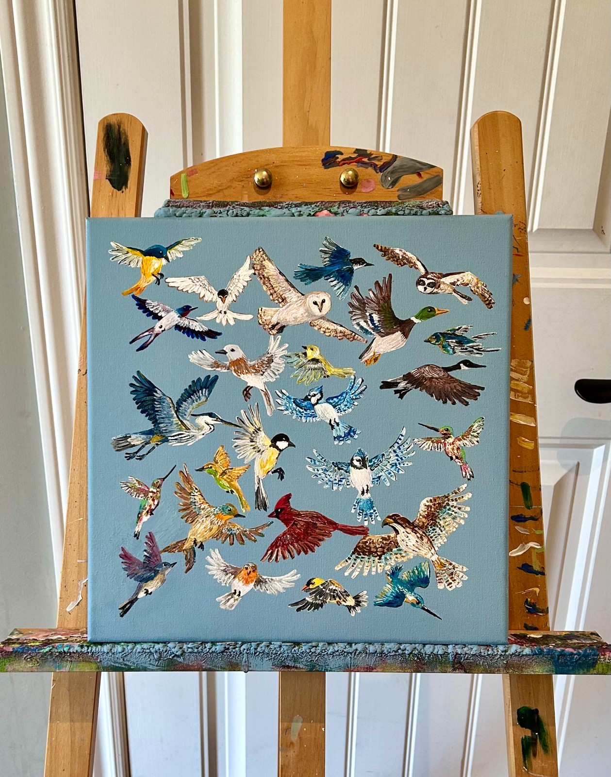 Original Acrylic Painting by AnneliseK, 12x12in, Birds Flying Owl Hawk Heron Jay