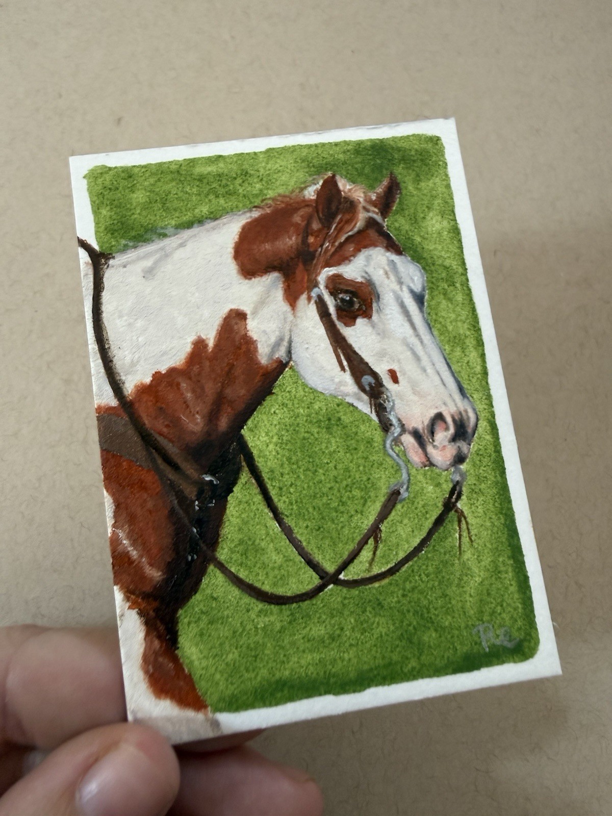 ACEO Art Card Original Sorrel Paint Cow Pony Portrait Series Oil Painting Horse