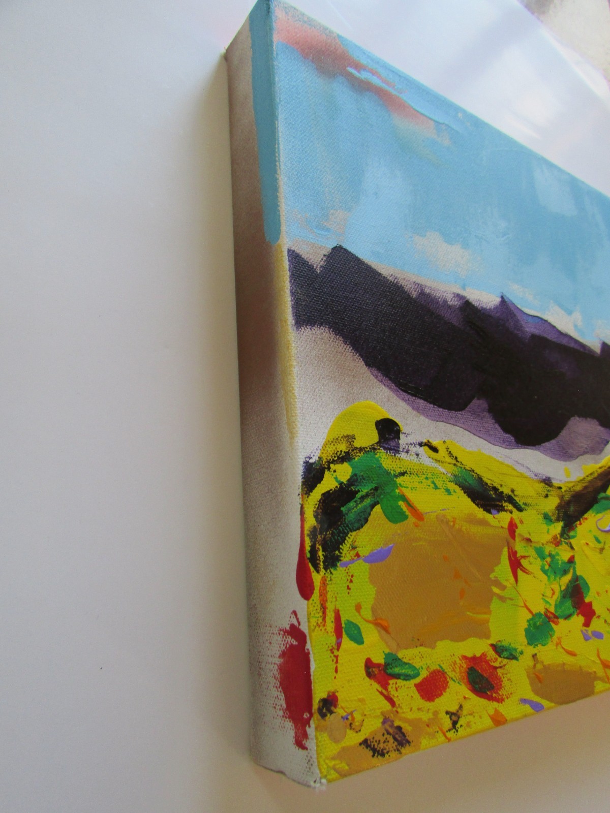 Ross Chaney SantaFe OsageCherokee Native American New Mexico Mountain Landscape