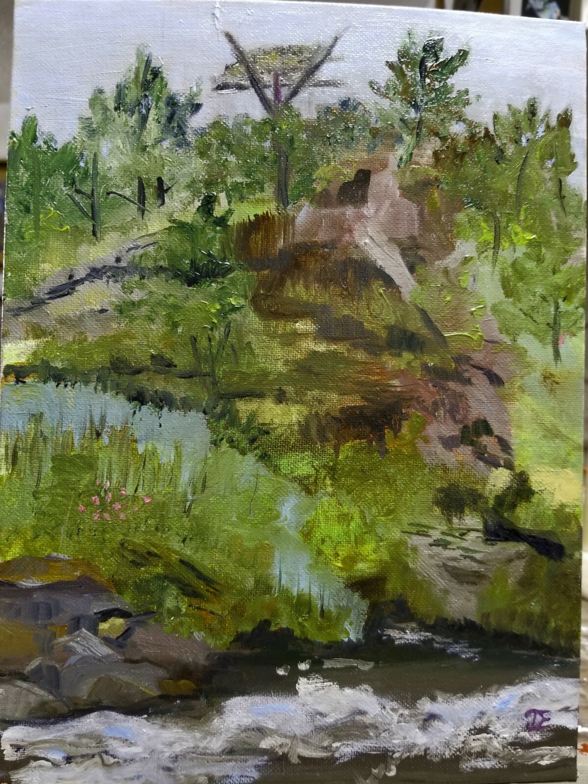 DJE Original oil painting on canvas panel of Osprey Nest near Pactola Lake in SD