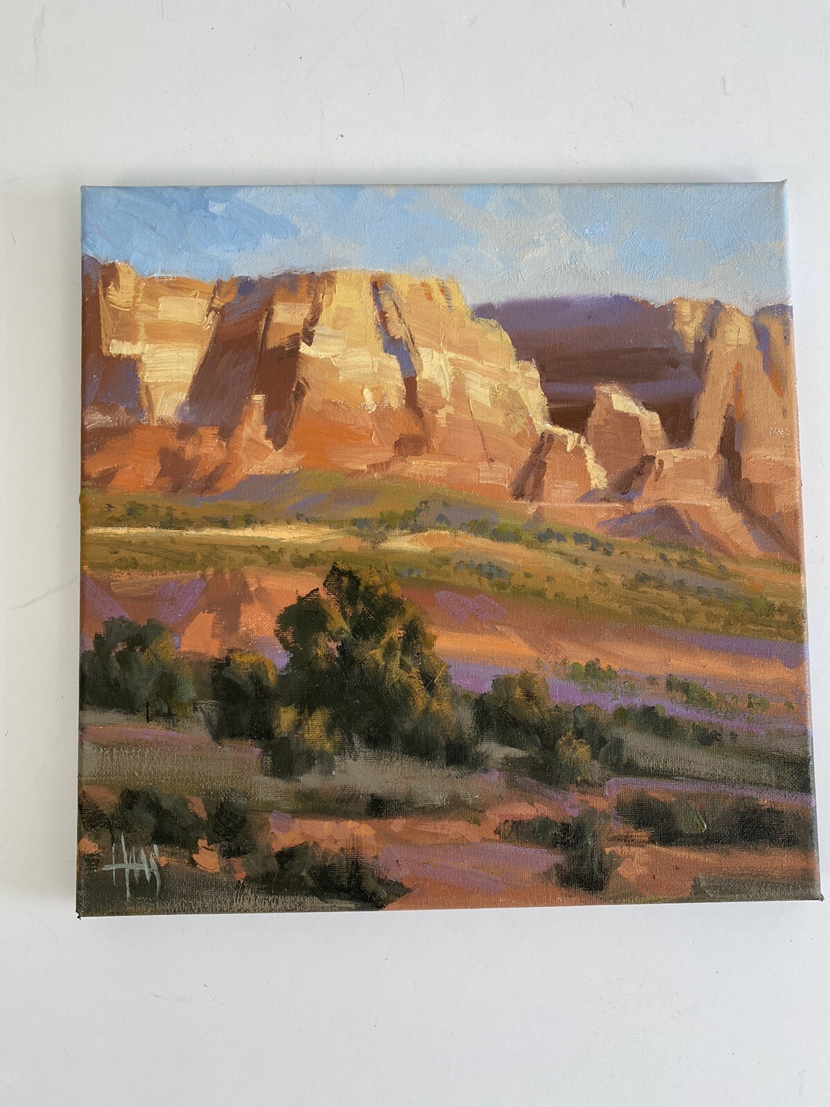TOM HAAS painting “ Schnebly Hill – Sedona” 12” X 12” Canvas Original /r