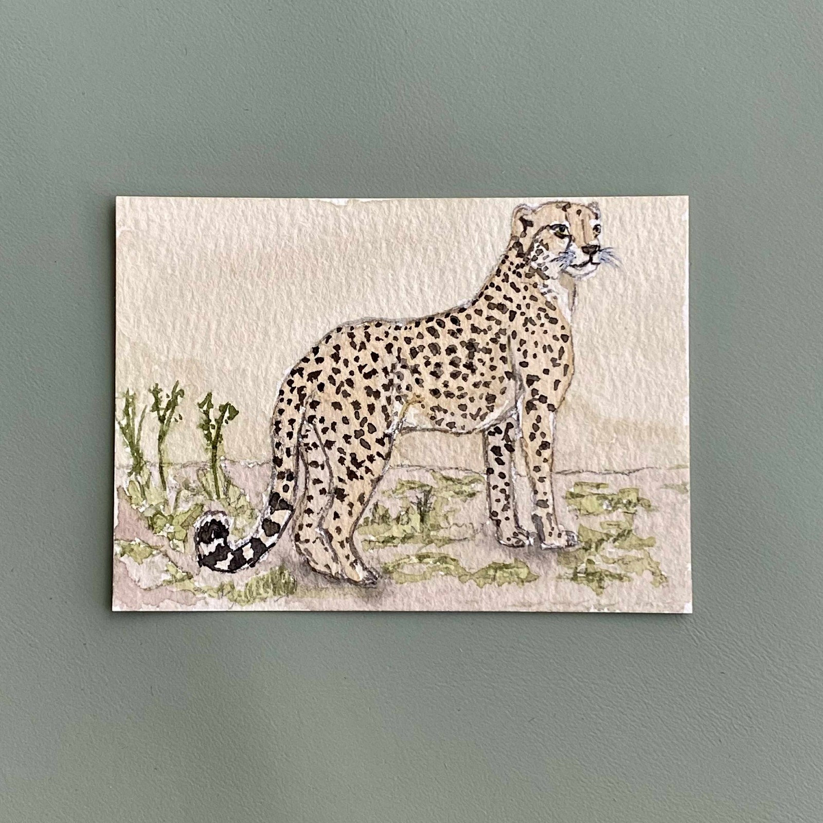 Original ACEO – Cheetah – Watercolor Painting Big Cat Art Card (Felidae Series)