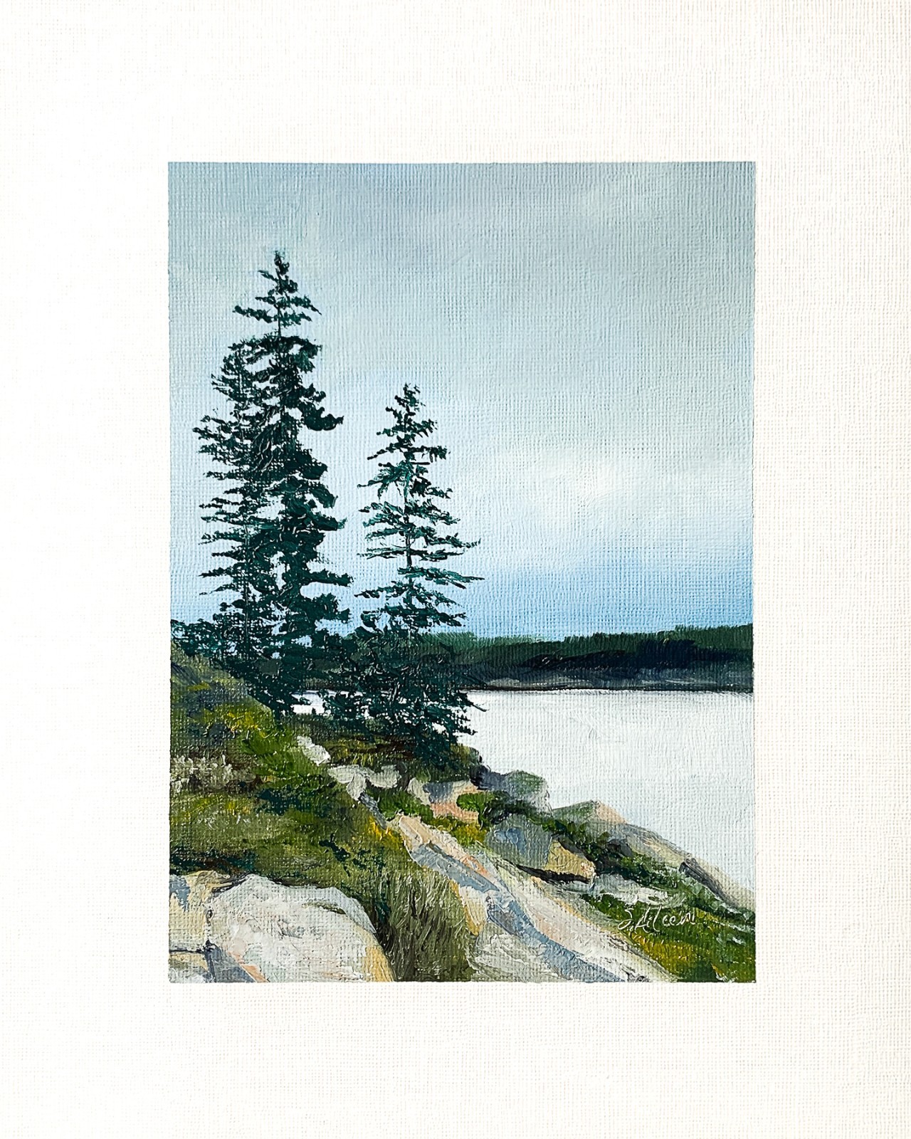 8×10 Maine Original Oil Painting Acadia Atlantic Ocean Pines New England Signed