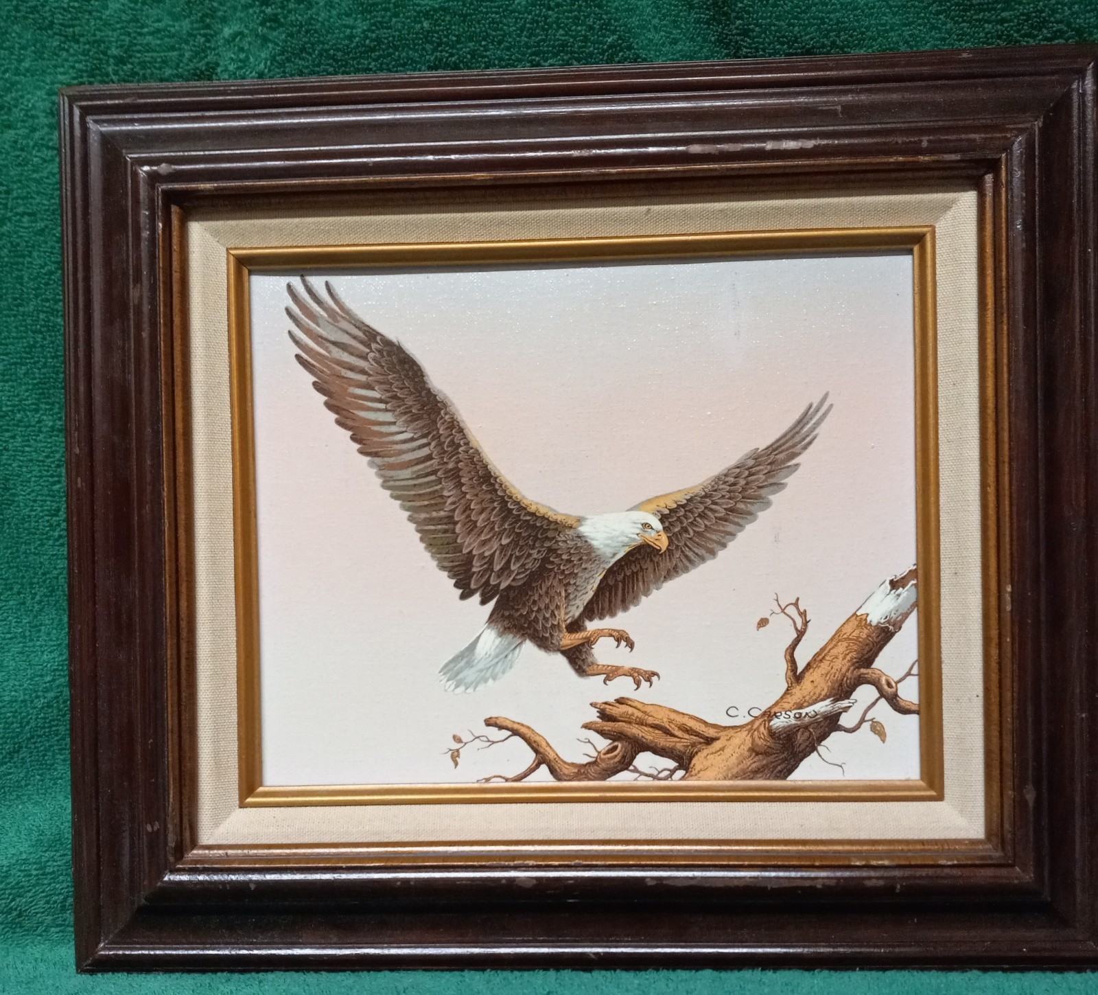 American Bald Eagle Oil On Canvas Signed C Carson