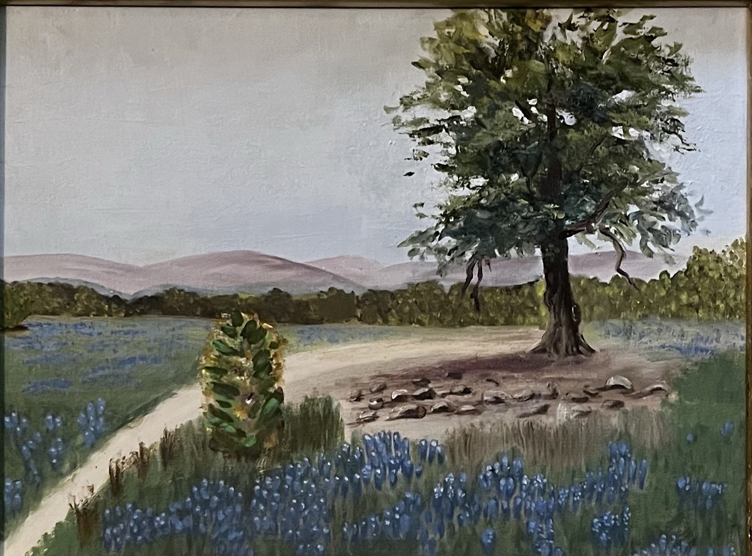 Texas Bluebonnet Oil Painting-Hill Country Landscape