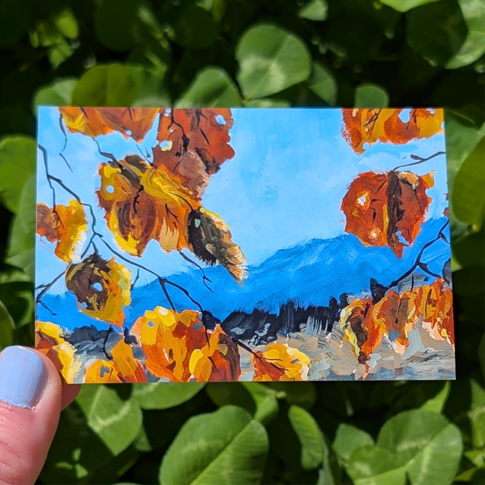 Fine Art Print, Autumn Leaves Mountain Forest Colorado Landscape, 3″ x 5″