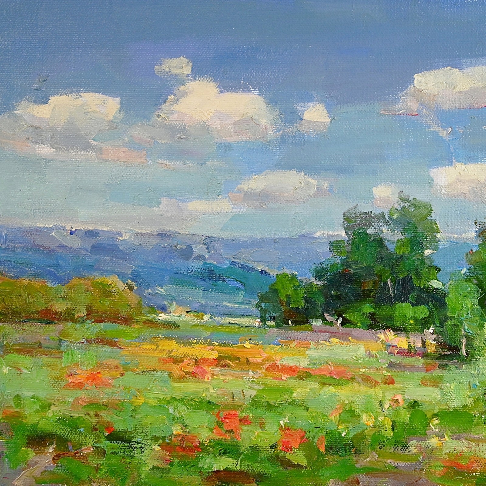 Framed Oil Painting, Summer Field Landscape, Signed by Eric Son, Wall Art, Gift