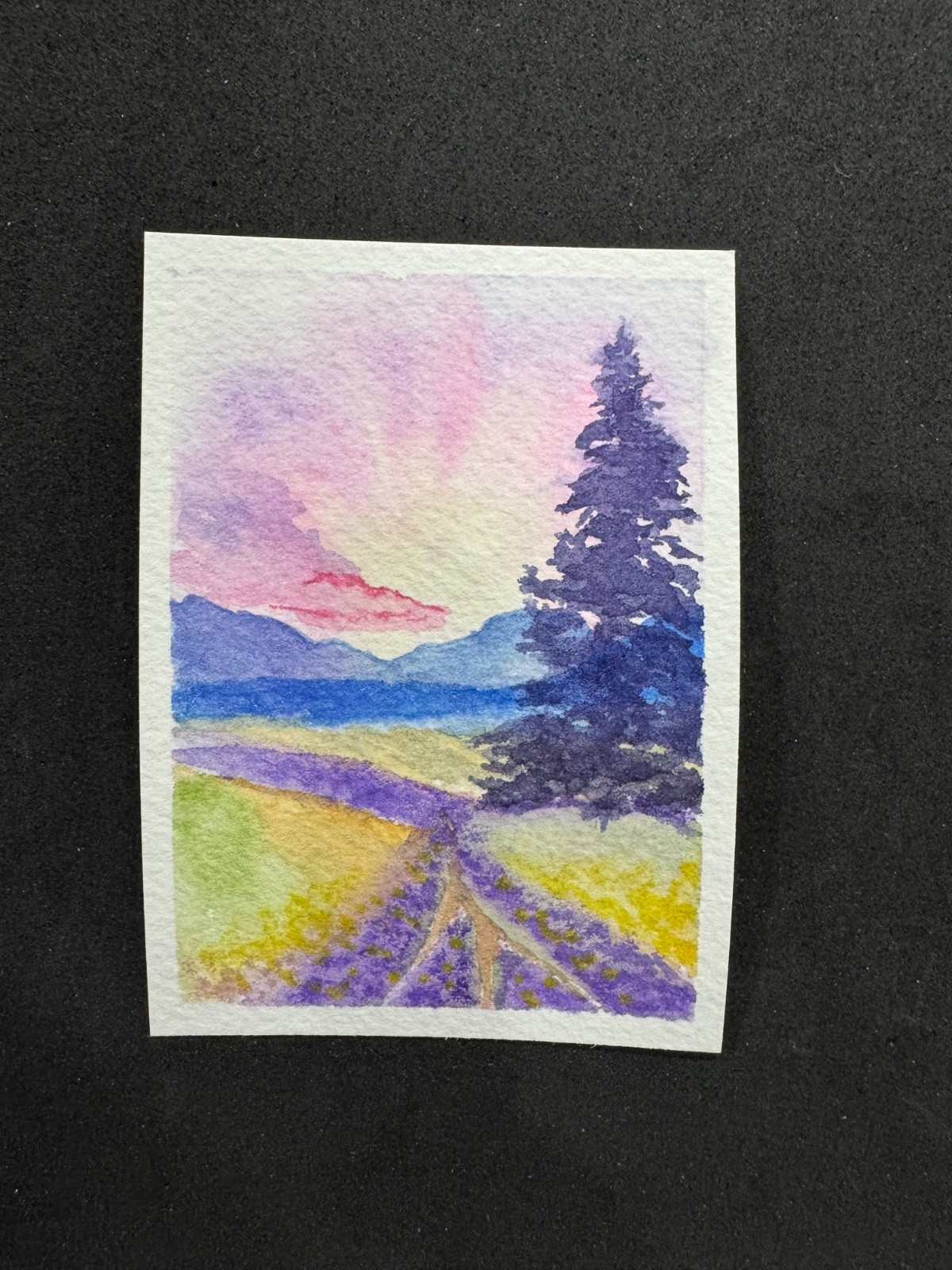 Original Watercolor ACEO 2.5”X3.5”, “ Mountain Meadow Glow” signed, dated OOAK.