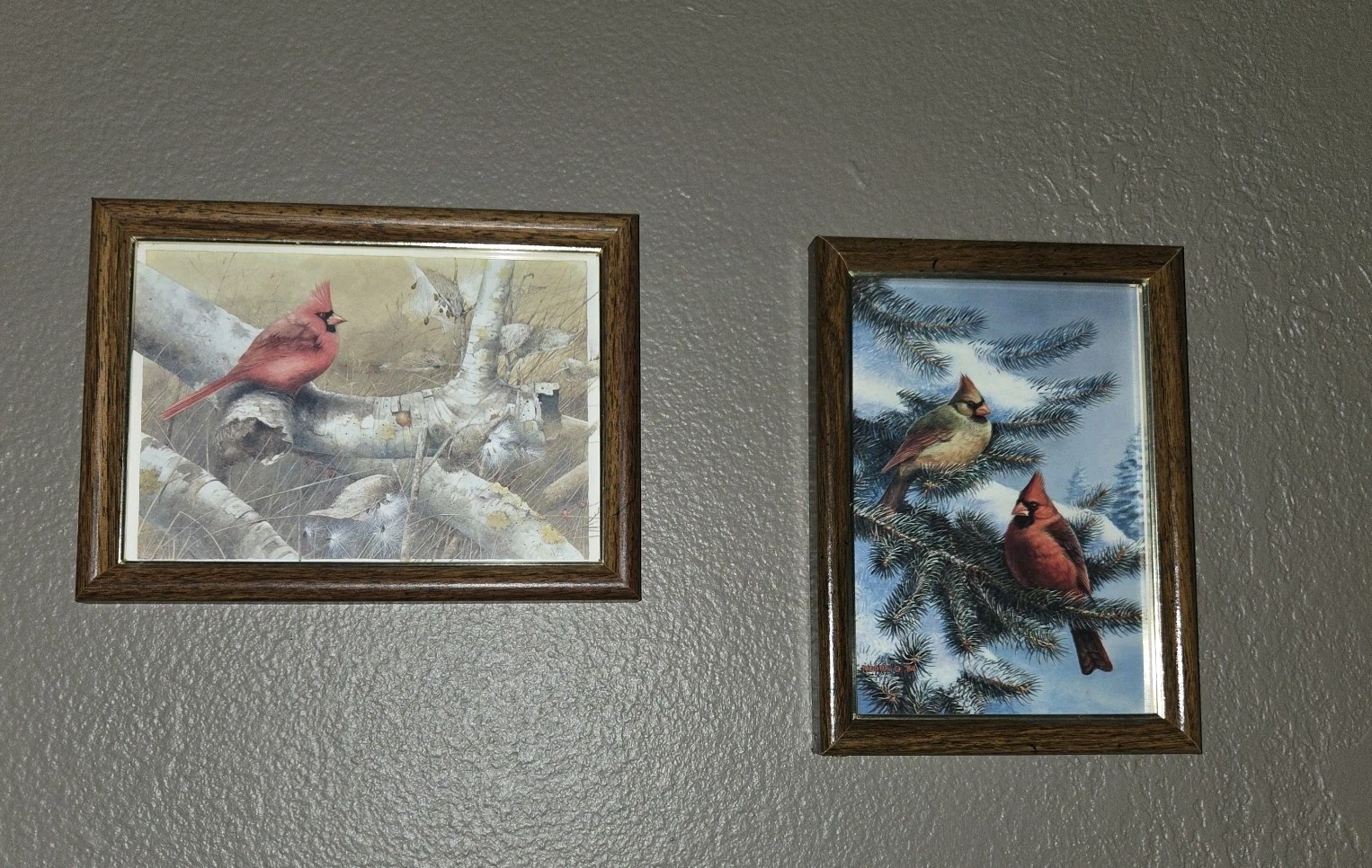 Set of 2 Original Cardinal Birds male & female paintings framed