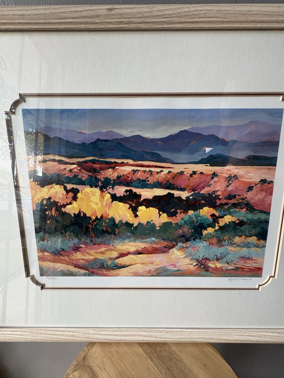 Framed Desert Landscape Scene by Barbara Cleary ~ 23.5 x 19.5