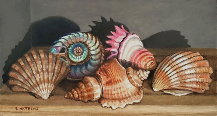 Original Oil Painting Sea Shells on Shelf still life 5 x 9 in hardboard NEW 6-27