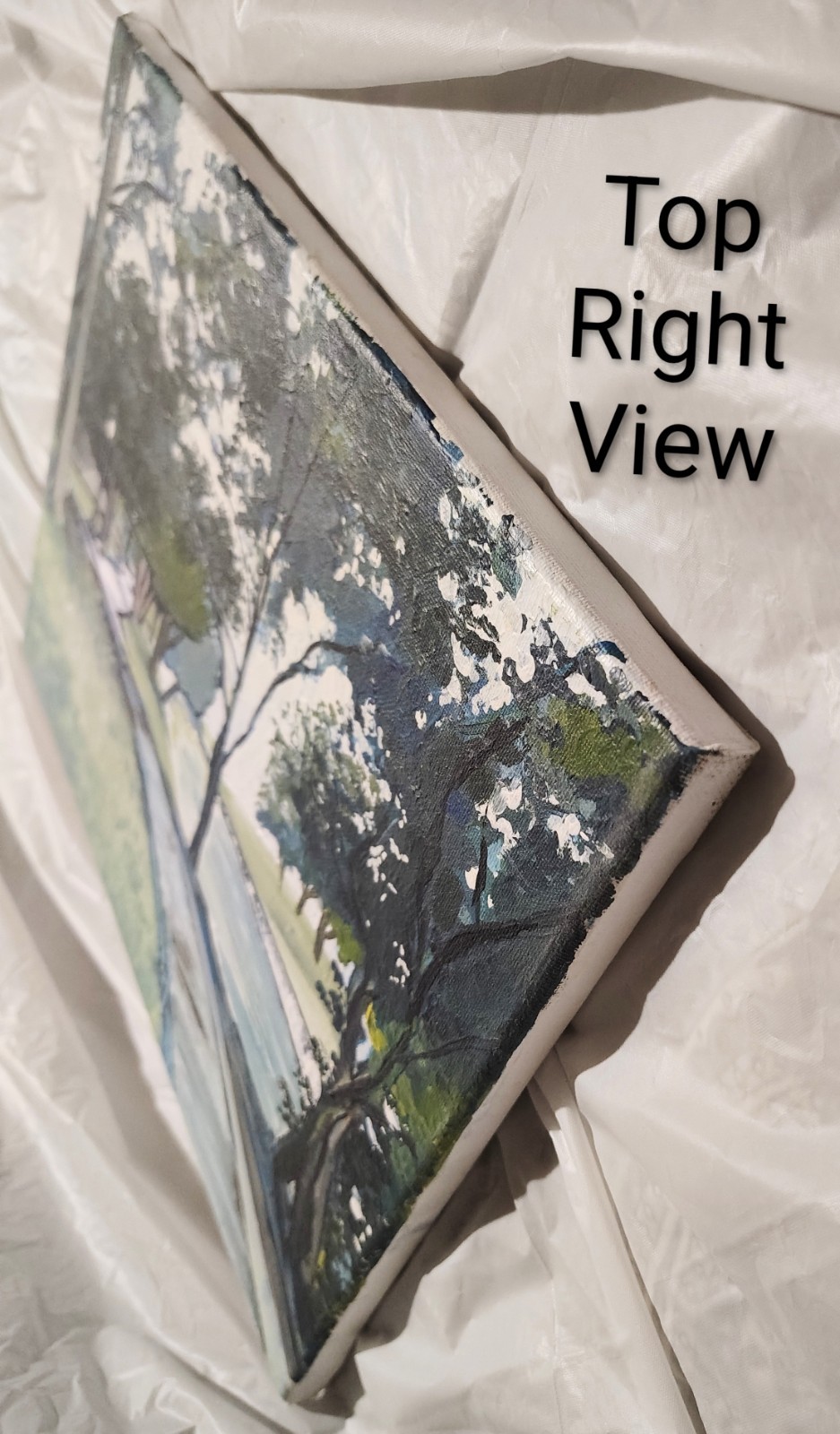 11 inch x 14 inch x 5/8 of an inch – Nature Landscape Painting by A. Avila