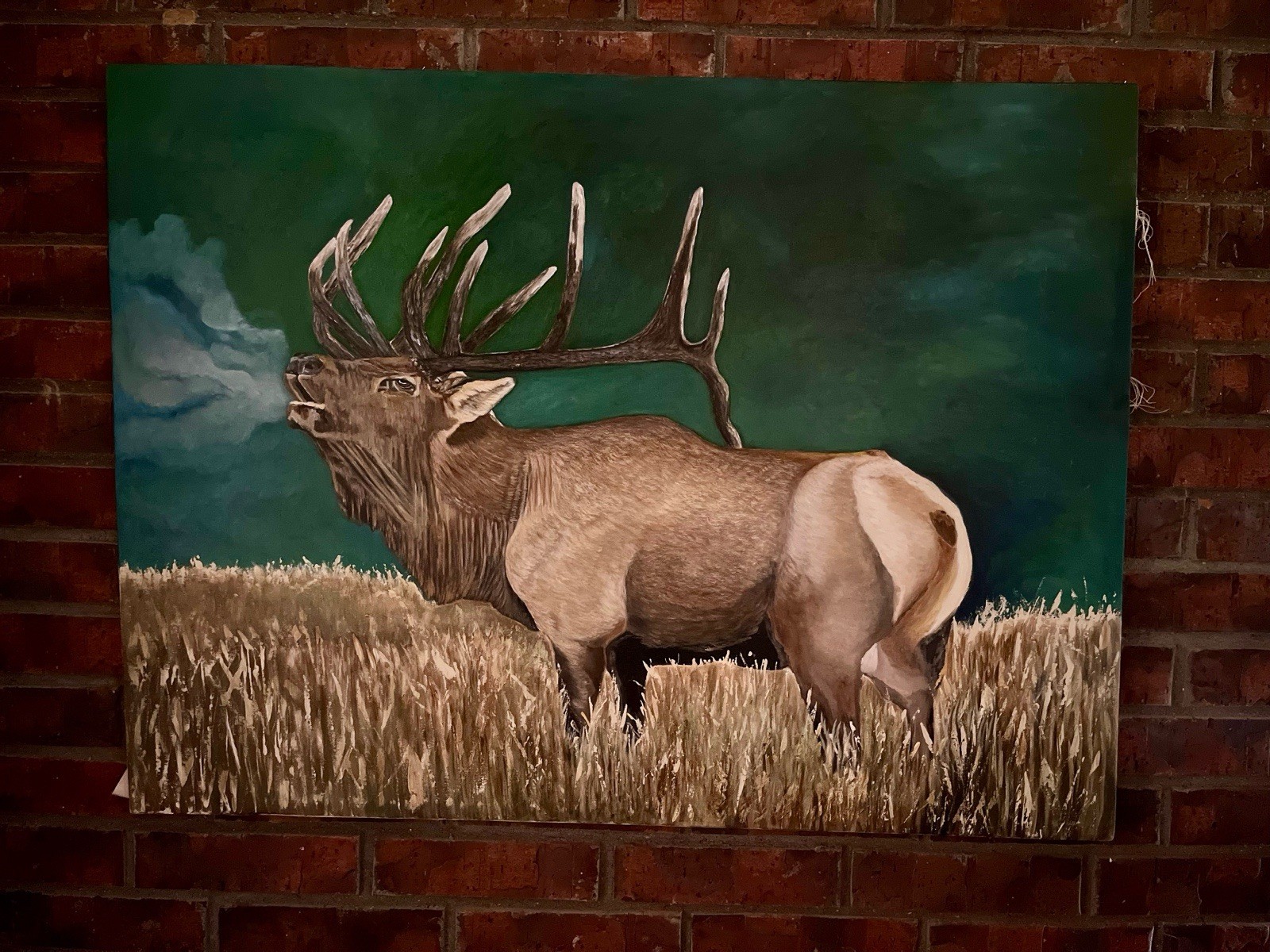 Bull Elk Portrait Original Painting