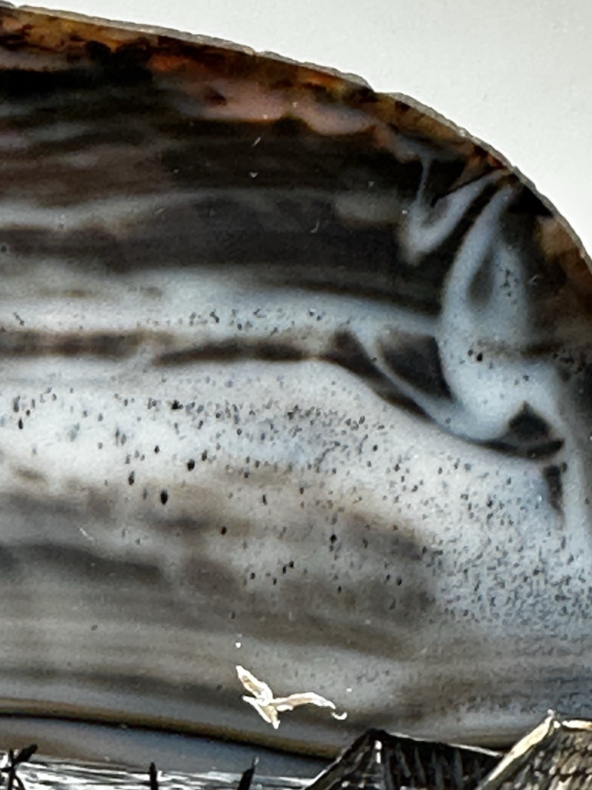 Sliced Brown Agate Painting Bar Harbor Maine Coastal Beach Cottages Boats