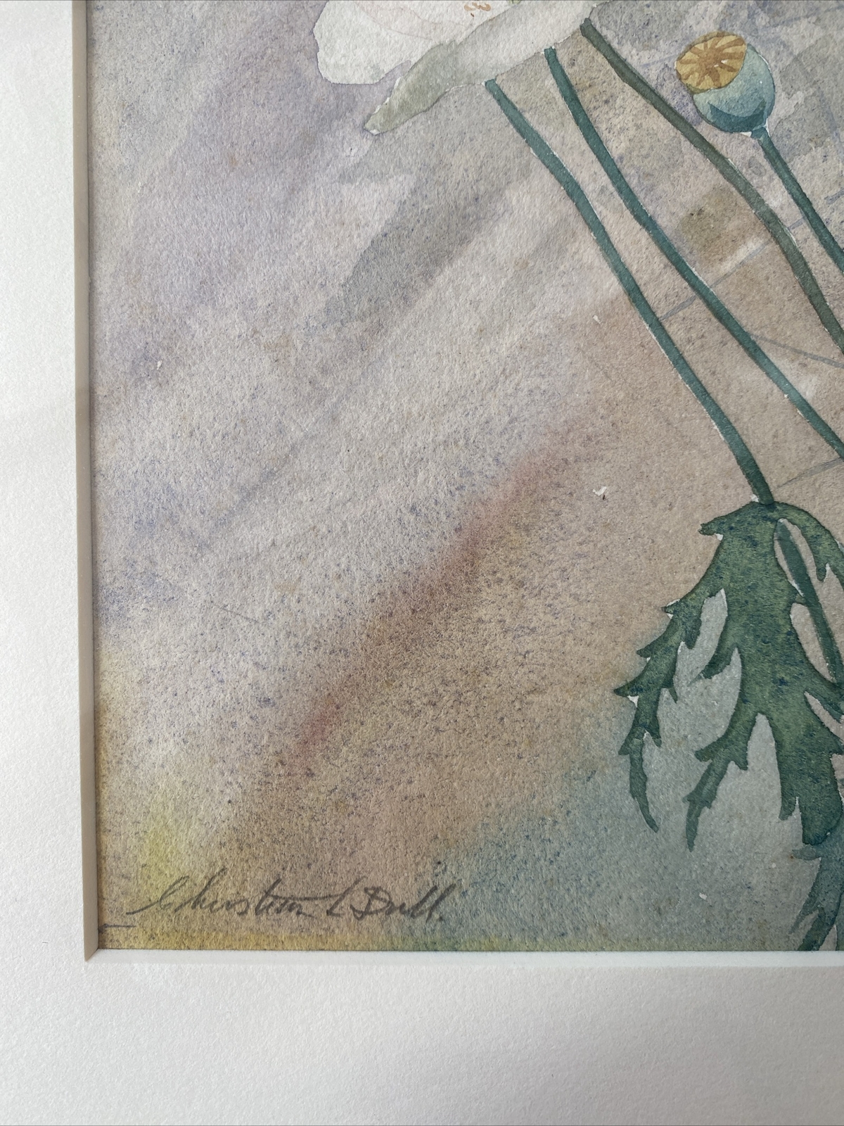 Christian Dull (Philadelphia 1902-1982) Poppies, Spider Web, exhibited PAFA 1927