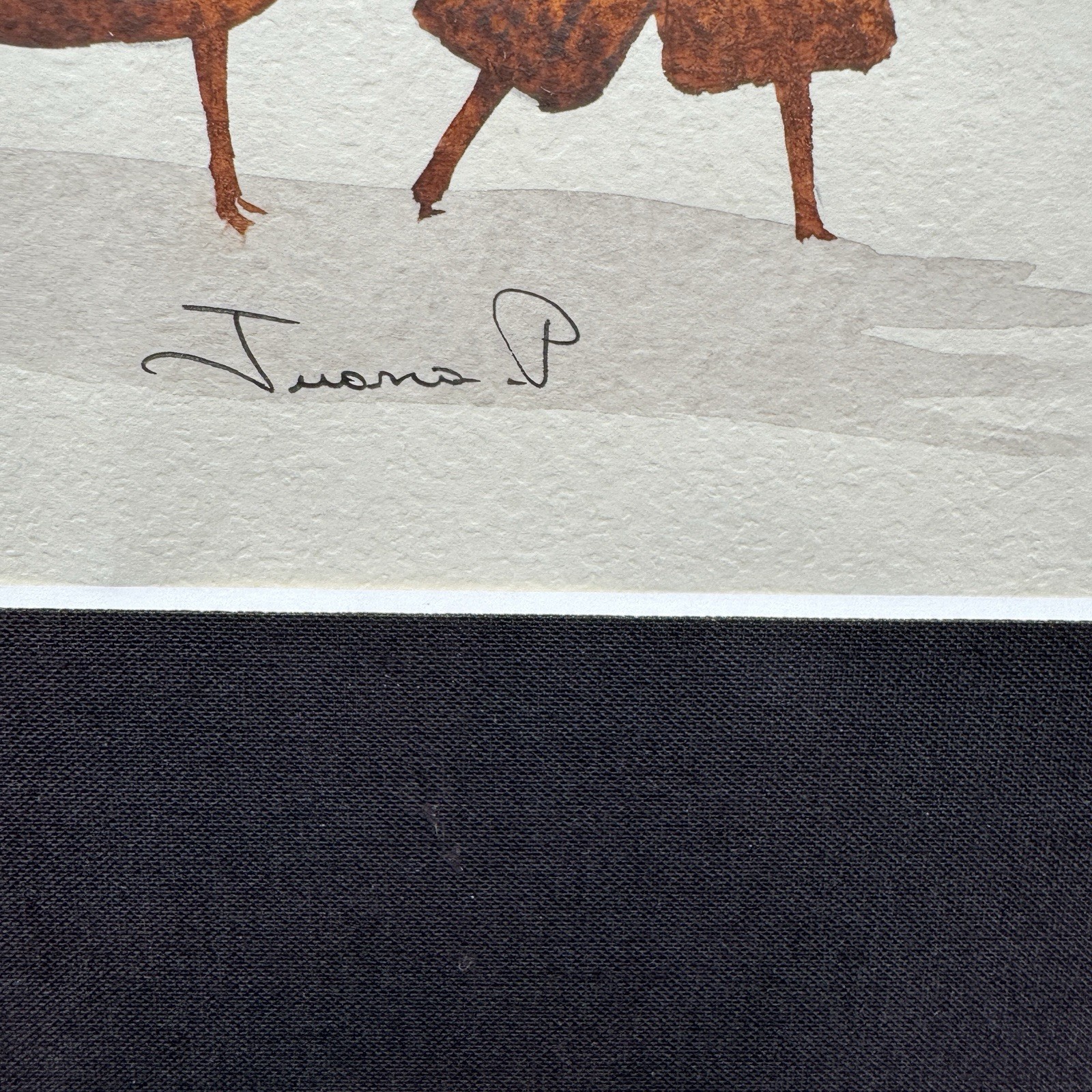 Pair Signed Peruvian Alpaca Llama Watercolors Folk Art Framed Andean Animals