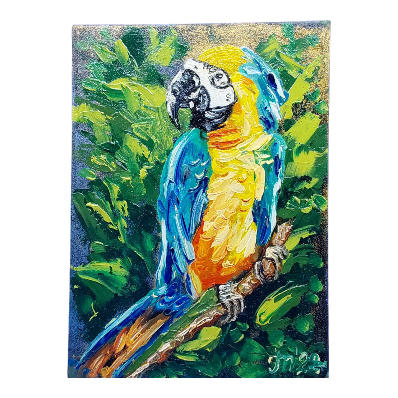 Parrot No1 Tropical Animals Birds Wall Art Original Oil Painting Handmade OOAK